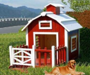 Dog House,Dog Cage & Room