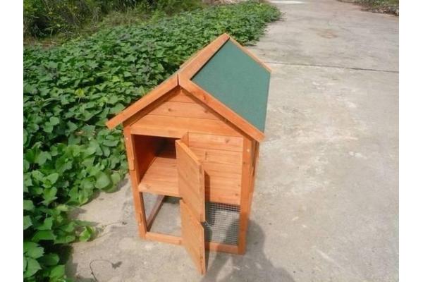 Rabbit House,Rabbit House