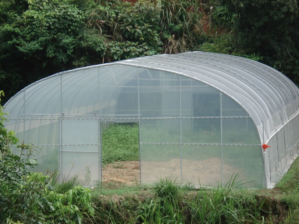 Green House,Green House