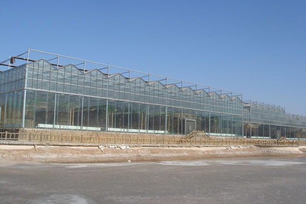 Green House,Green House