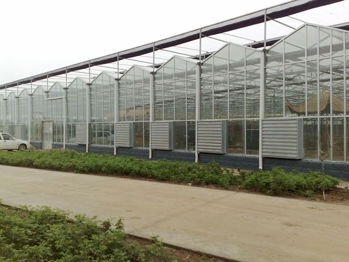 Green House,Green House