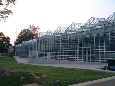 Green House,Green House