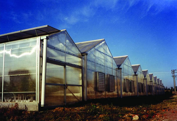 Green House,Green House