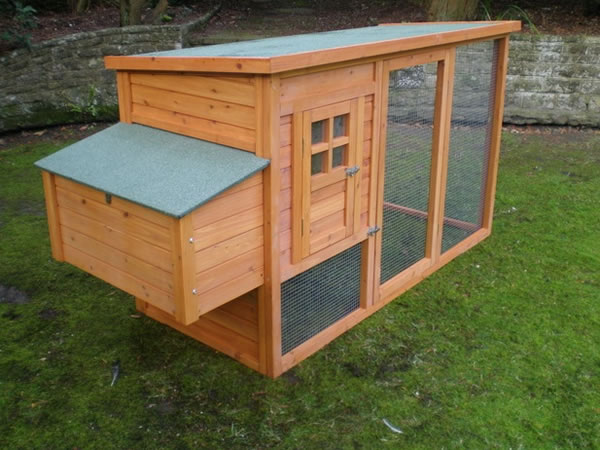 Dog House,Dog Cage & Room