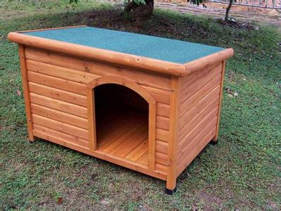 Dog House,Dog Cage & Room