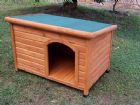 Dog House