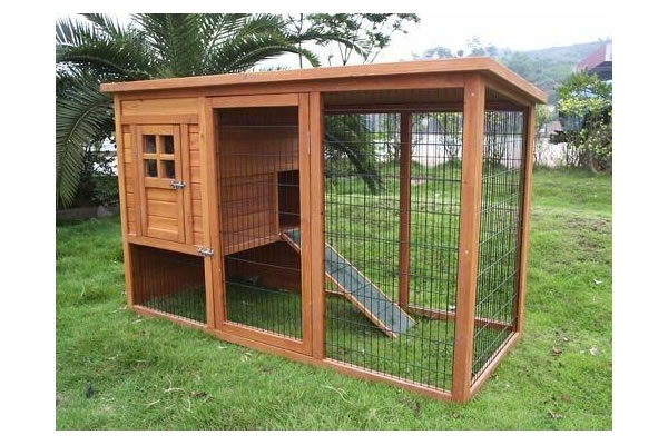 Chicken House,Chicken House