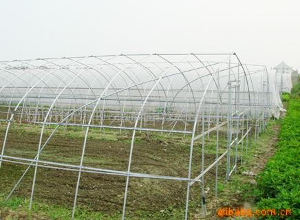 Green House,Green houses