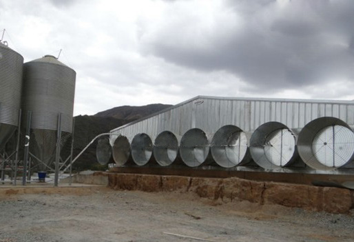 Steel farm building,Farm building 