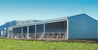 Steel farm building,Cow farm