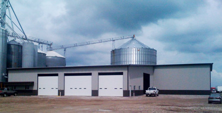 Steel farm building,Chicken Farm building