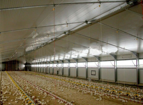 Chicken steel farm building,Chicken Farm Equipment