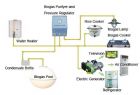 Biogas system