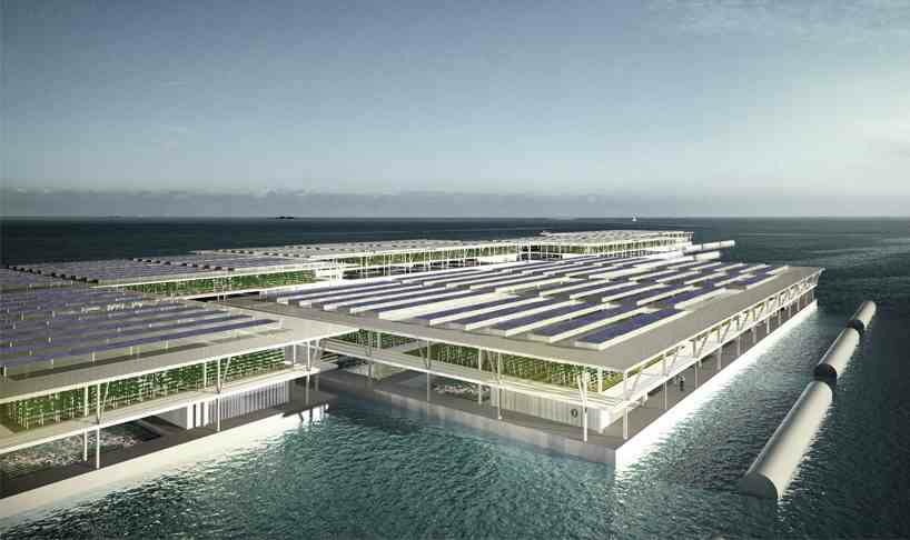 Sea Greenhouse,Green houses