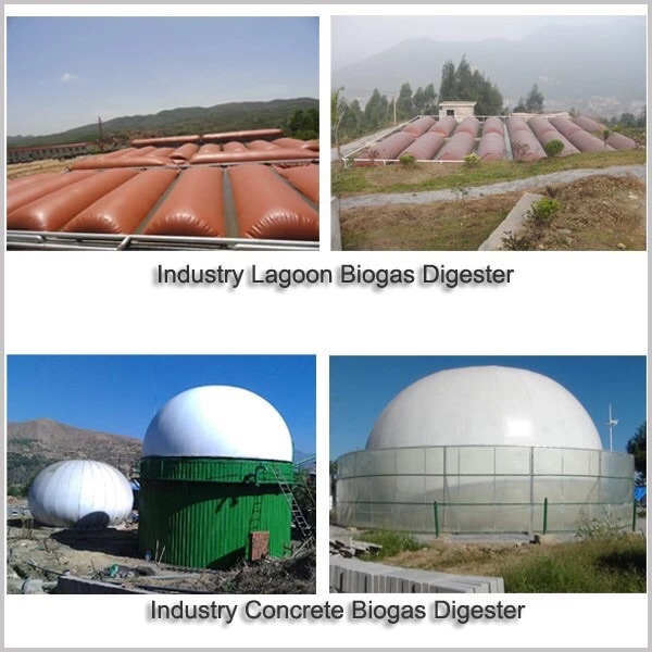 Biogas system,Biogas Project