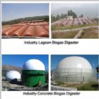 Biogas system