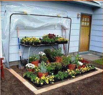 Green House,Green House