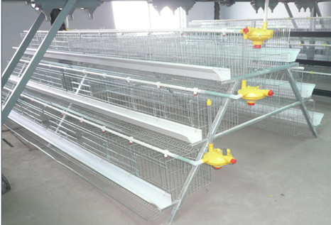 Chicken Farm,Chicken steel farm building